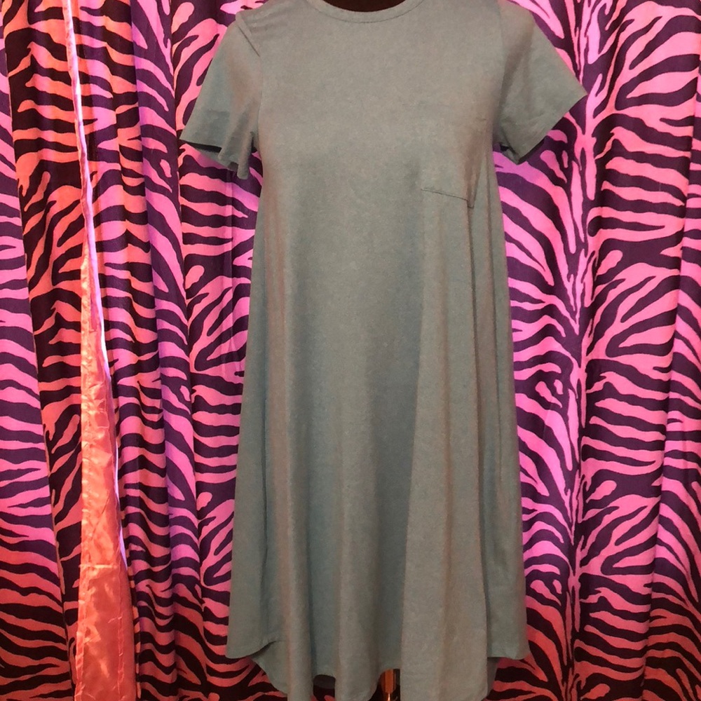 🌸LuLaRoe Carly